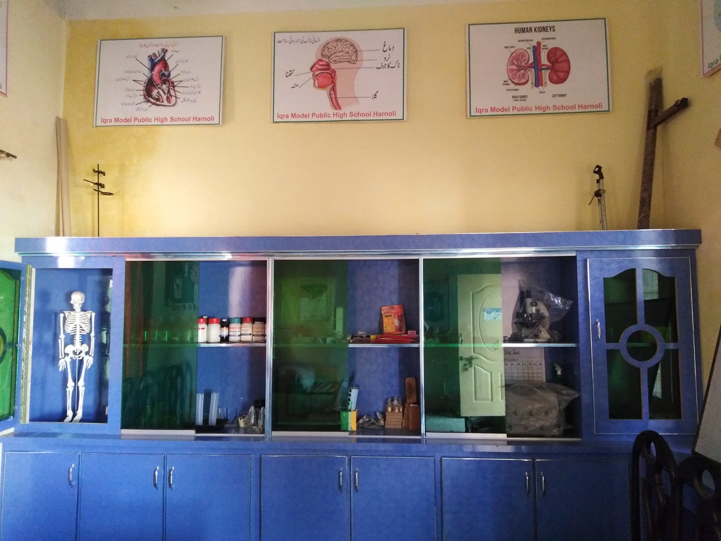 lab